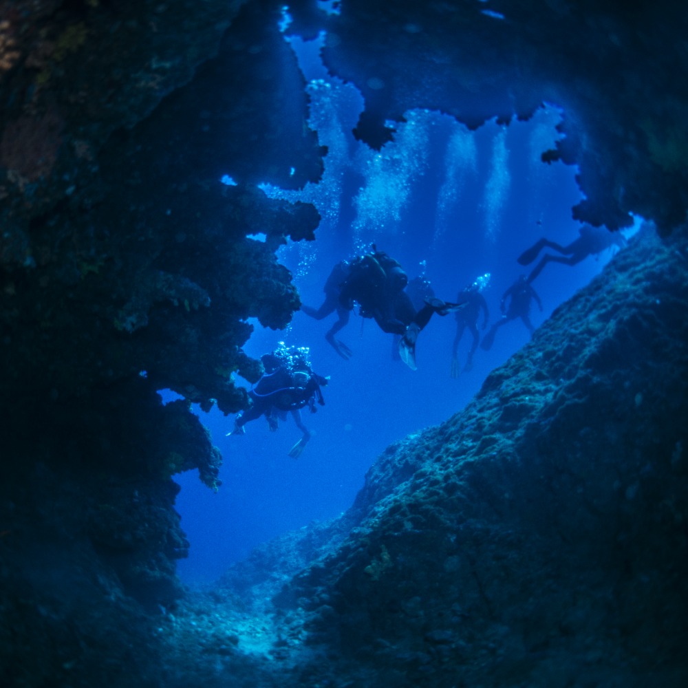 Potápění.cz - Connex Diving 